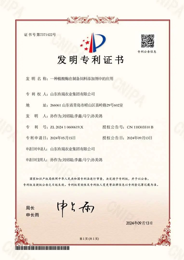 BEATS(中国区)唯一官方网站