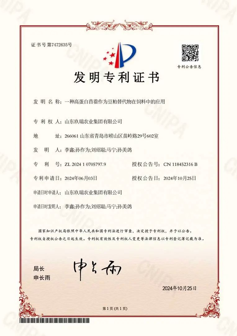 BEATS(中国区)唯一官方网站