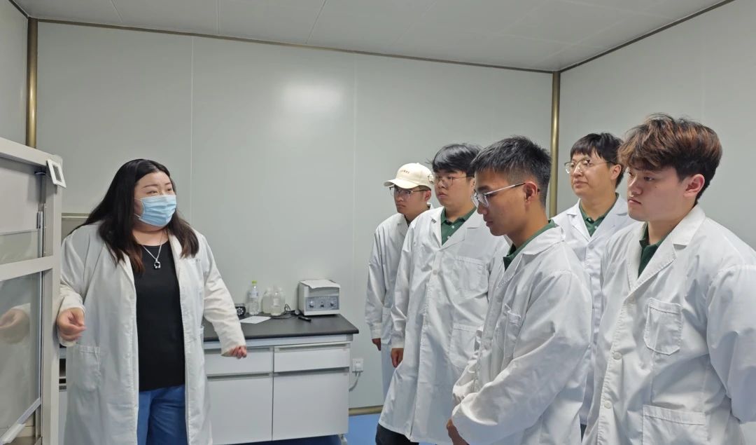 BEATS(中国区)唯一官方网站