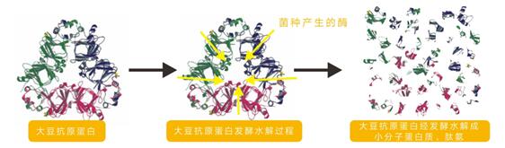 BEATS(中国区)唯一官方网站